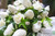 White floral fragrance sample decant