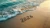 Sandy Beach/Shore Sampler, perfume samples