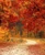 Crimson Autumn Sampler, perfume samples