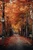 Brisk Autumn Sampler, perfume samples