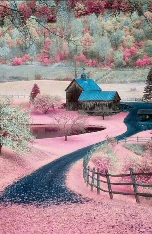 Best Selling Perfumes March 2017