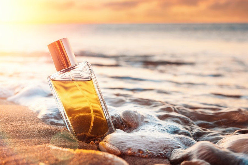 Best Beach Perfume Options to Consider Surrender to Chance