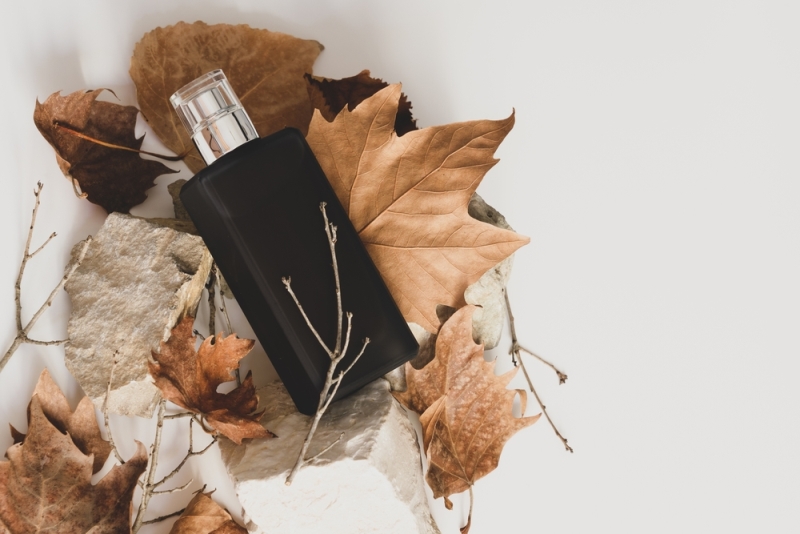 The 5 Best Fall Perfumes of 2022 Surrender to Chance