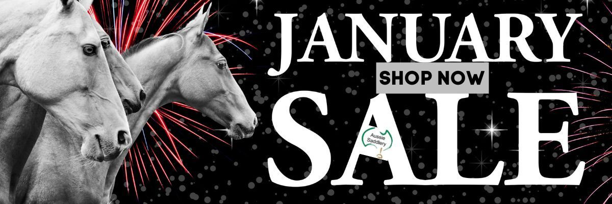 January SALE