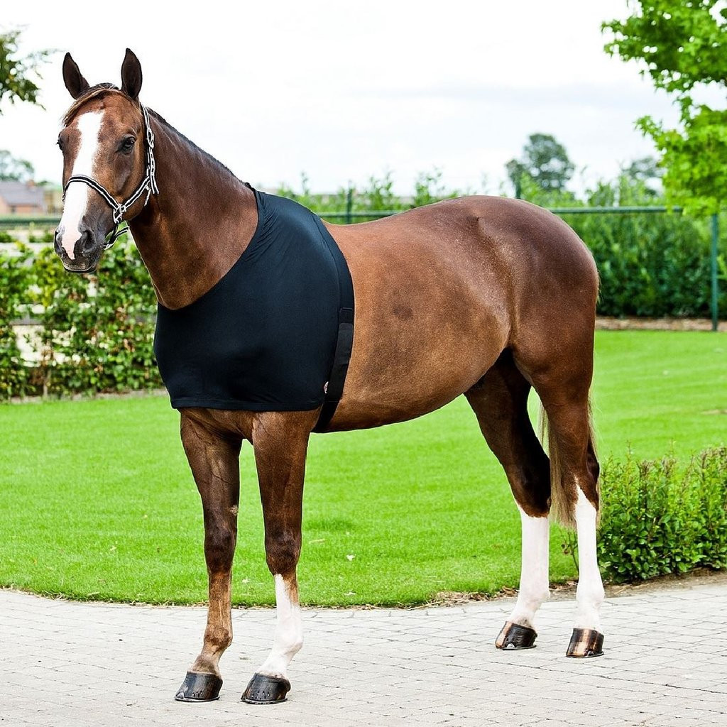 Horze Comforce Shoulder Rug - Aussie Saddlery