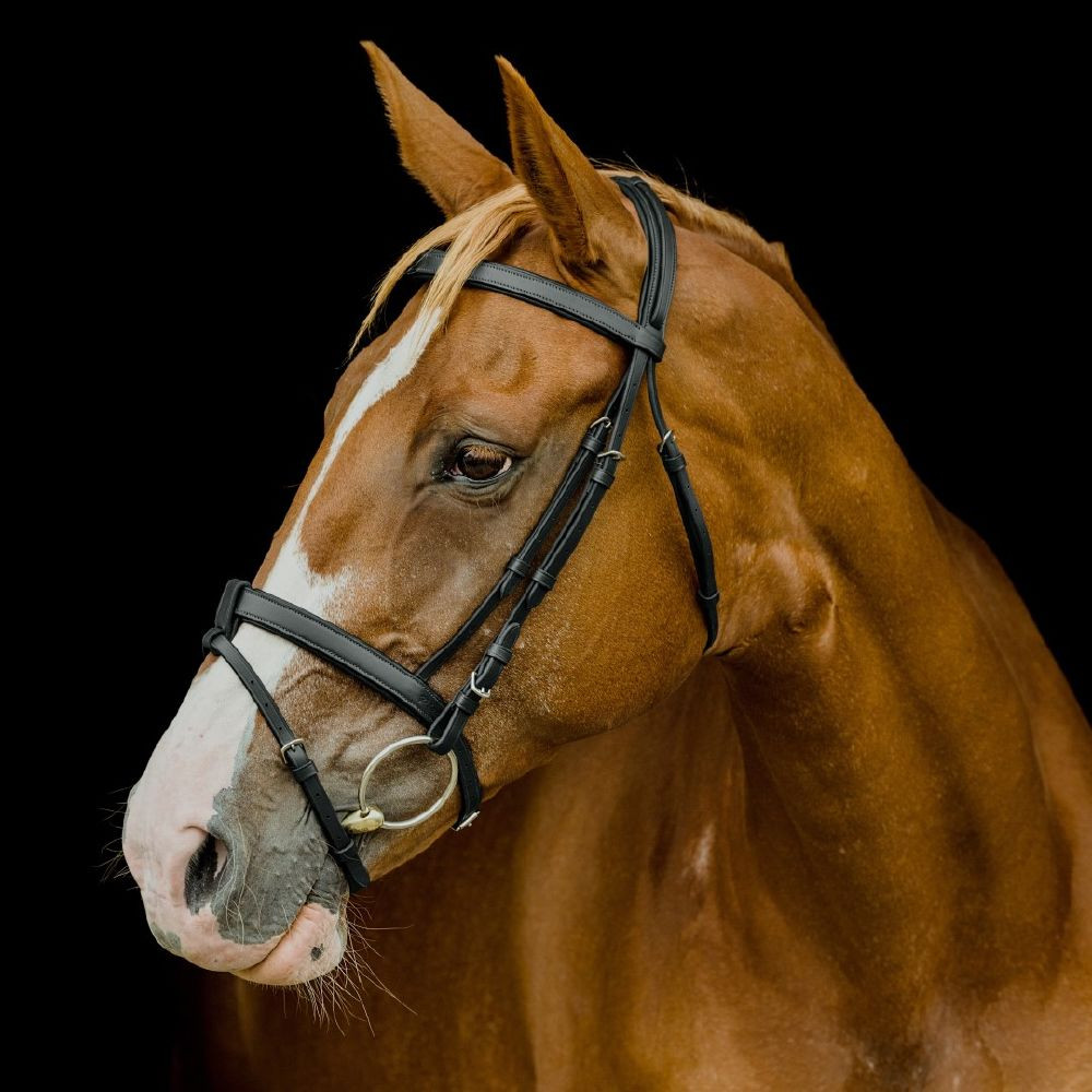 Platinum Series Hanoverian Bridle