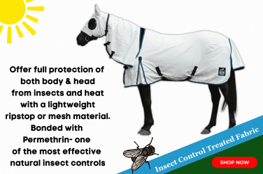 Increased Risks of Japanese encephalitis in horses