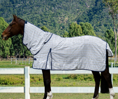 Best Equestrian Summer Ripstop Cotton Combo