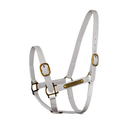 Syd Hill PVC Halter with Brass Nameplate