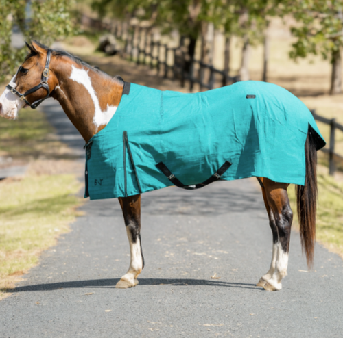 Best Value Canvas Horse Rug Deluxe Wool Blanket Lined