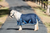Miniature Horse Winter Rug FREE SHIPPING