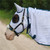 Aussie Mesh Hooded Combo Horse Rug