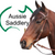 Barcoo Bridle Brass Fittings Brown