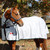 Zilco Supastop Combo Horse Rug