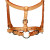 Syd Hill Buller Show Western Halter