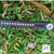 Browband Diamante Crystal CLEARANCE