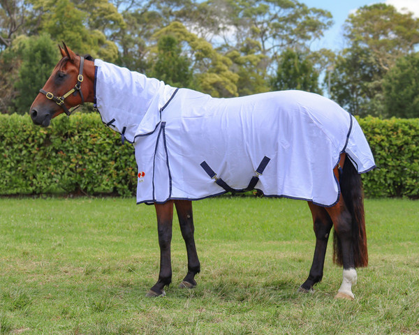 Zilco Aircon Combo Horse Rug