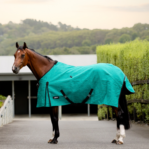Best Value Canvas Horse Rug Deluxe Wool Blanket Lined