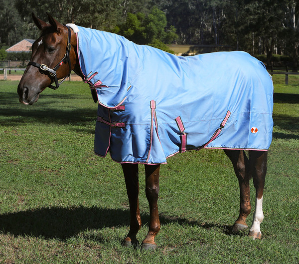 Guardian 600D Rainsheet Horse Rug Combo