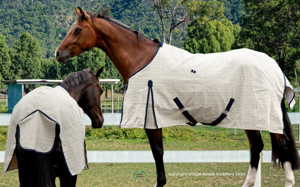 Aussie Pro Duoguard Horse Rug