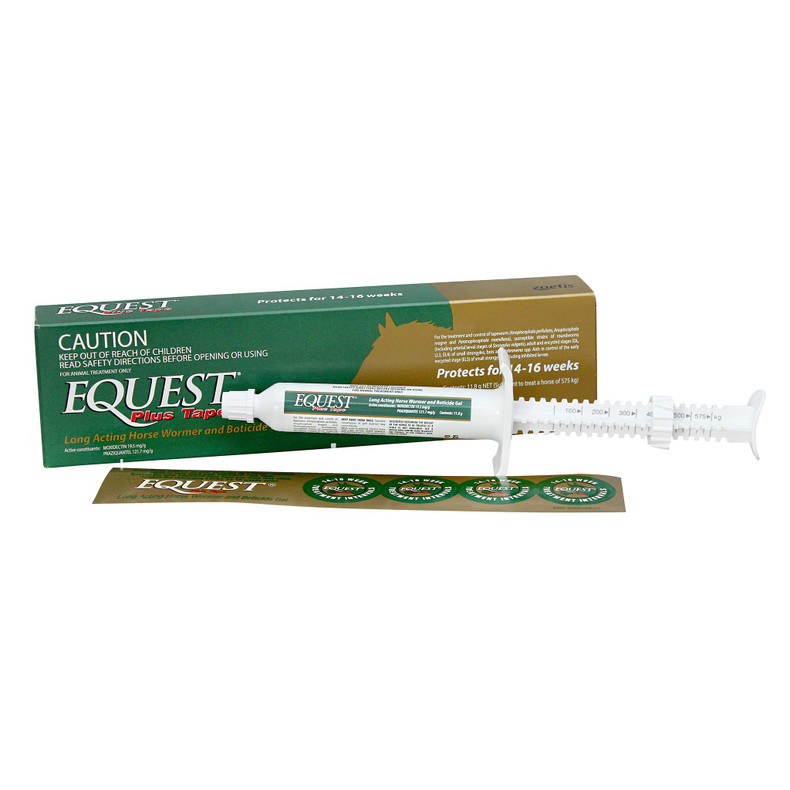 Worming Pregnant Mares