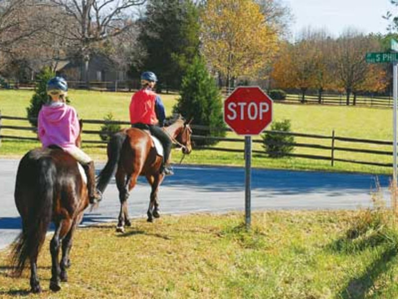 Road Rules for the Horse Rider