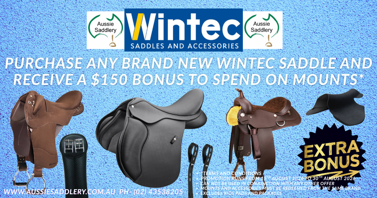 Buy Wintec Saddles On Sale