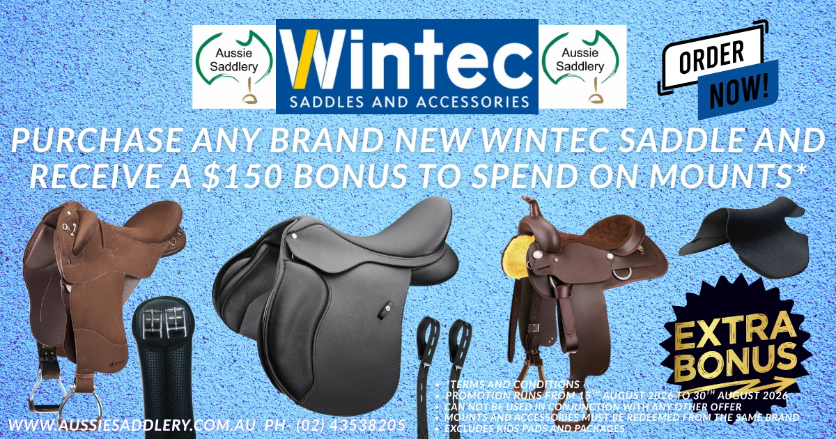 Buy Wintec Saddles On Sale