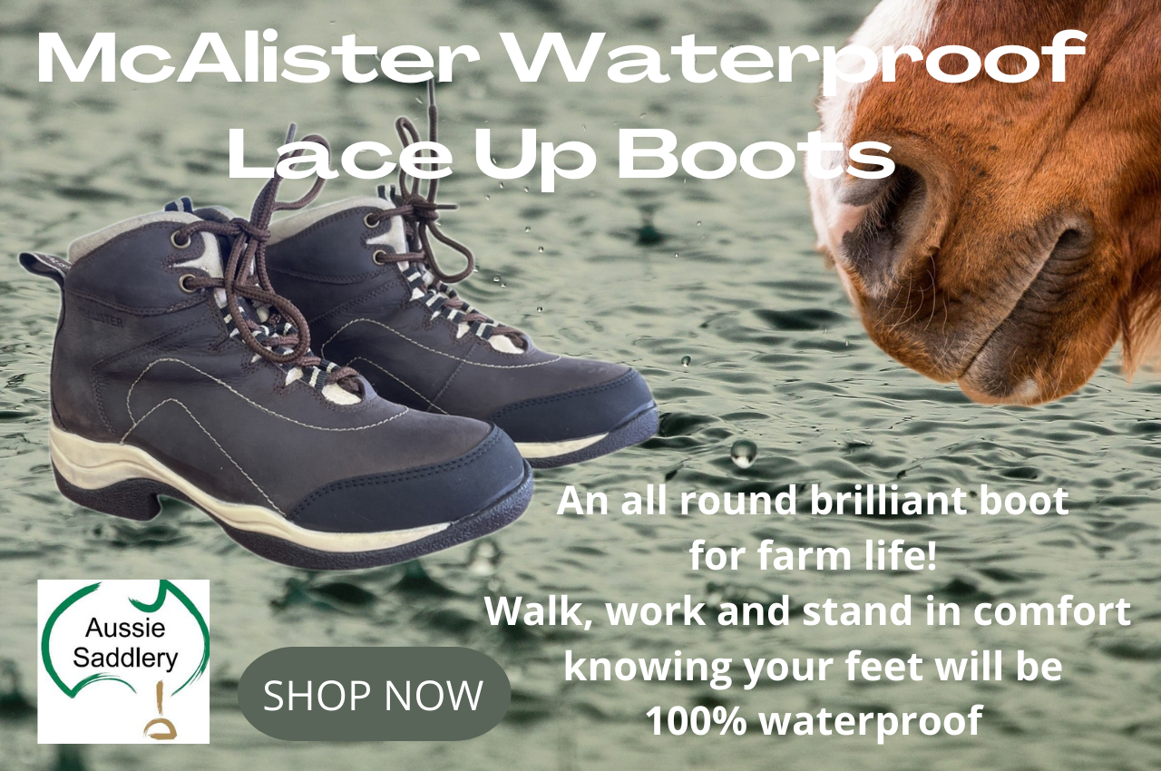 Waterproof Stable Boots, Lace Up Waterproof Boots, Ariat Boots, Yard Boots