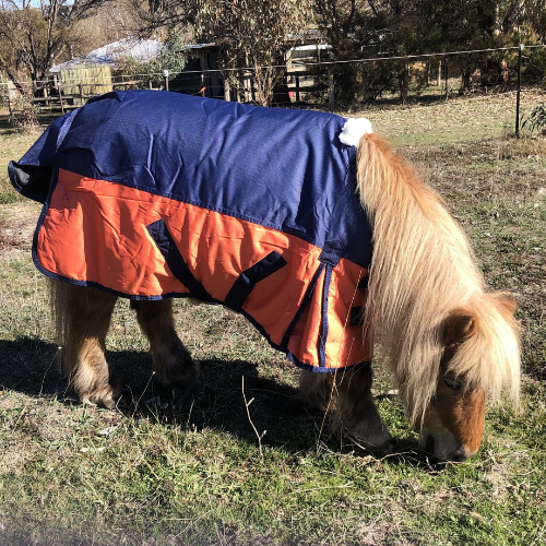 Mini pony winter rug