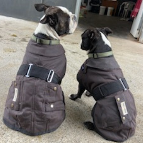 Oilskin Dog Coats on sale
