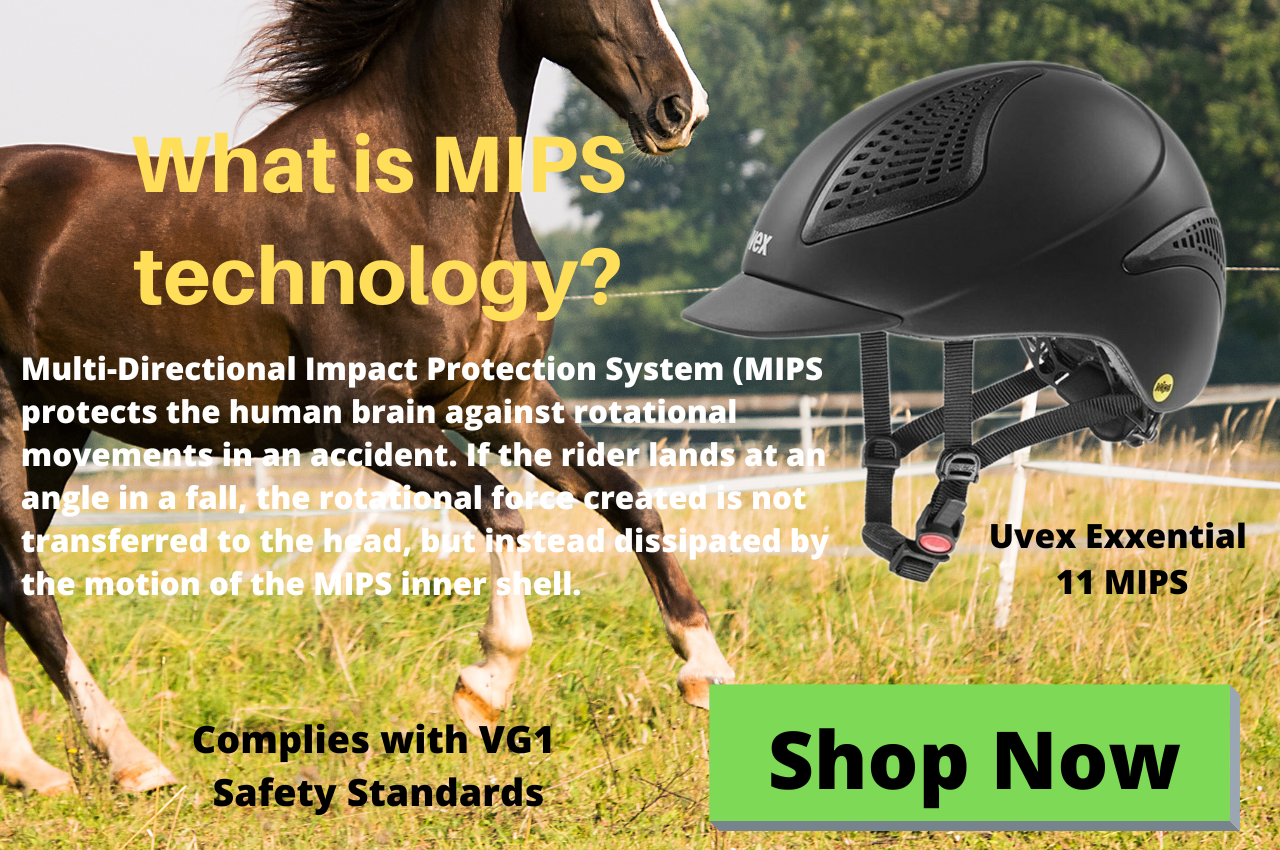 Buy Horse Riding Helmets here