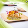 Magnus Disposable Plates|2 kg 170 g|5.27 lbs