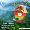Organic India Himalayan Multi Floral Honey|250gm|8.82 Oz