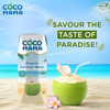 Coco Mama Organic Coconut Water, 250ml| Pack of 6| Enriched With Electrolytes & Anti-Oxidants| Pure & Refreshing Coconut Water| No Added Sugar, Preservative & Flavour| Naturally Gluten Free