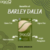 Orgaq Organicky Organic Barley/Jau Dalia|500gm|1.22 lbs