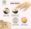 Pure Tree Certified Organic Barley Cereal Grain|400gm|14.11 Oz