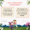 Livpro Liver Detox Syrup with Milk Thistle & Arjuna Bark|200 g|7.05 Oz