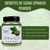 Flavour Drum Dehydrated Spinach Powder|200 g|7.05 Oz