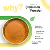Pure Organio Cinnamon Powder Organic - Finely Ground Cinnamon Powder for Baking, Cooking & Beverages, dalchini powder Indian Organic NPOP Certified|100gm|3.53 Oz