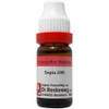 Dr. Reckeweg Sepia Dilution|11 ml