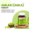 Baidyanath Amlaki (Amla) 60 Tablets - Natural Health Booster for Enhanced Hair, Skin, Digestive Health, Metabolism Support and Sugar Level Management [Fit Tuber Recs]