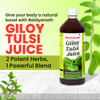 Baidyanath Giloy Tulsi Juice | 1 Litre | 33.81 fl oz [Fit Tuber Recs]