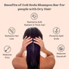 Goli Soda All Natural Probiotics Shampoo Bar for Dry Hair â€“ A Mild Everyday Shampoo for Frizzy and Dry Hair with Natural & Sulphate-Free Ingredients for Deep Moisturization.|90ml|3.04 fl oz [Fit Tuber Recs]