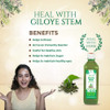 Jeevanras Giloy Juice - Detoxifies and Rejuvenates Body | Ayurvedic Health Juice for Immunity | Improves Digestion and Boost Metabolism | Good for Liver & Skin Health | 500ml | 16.91 fl oz [Fit Tuber Recs]