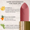 DAUGHTER EARTH Gypsy Rose Natural Lipstick|Vegan Plant Based Highly Pigmented Lip Color|Long Lasting Creamy Velvet Phytonutrient Lip Stick With Vitamin E&Bakuchiol|Natural With UV Protection | 4g | 0.14 oz [Fit Tuber Recs]