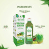 Jeevanras Wheat Grass Giloye Stem Juice-Herbal Juice For Detoxify The Body|Helps To Purify Blood|Made With Wheatgrass And Pure Amla Juice | 1000Ml | 33.81 fl oz [Fit Tuber Recs]