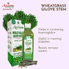 Jeevanras Wheat Grass Giloye Stem Juice-Herbal Juice For Detoxify The Body|Helps To Purify Blood|Made With Wheatgrass And Pure Amla Juice | 1000Ml | 33.81 fl oz [Fit Tuber Recs]