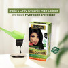 Indus Valley Gel Hair Colour for Women Ammonia & PPD Free (Black 1.00)|220 g|7.76 oz [Fit Tuber Recs]