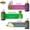 Exotic Aromas Essential Oil Lavender Rose Rosemary Orange Jasmine YlangYlang Tea Tree Eucalyptus Lemongrass Peppermint Lemon Citronella Pack of 12 [Fit Tuber Recs]